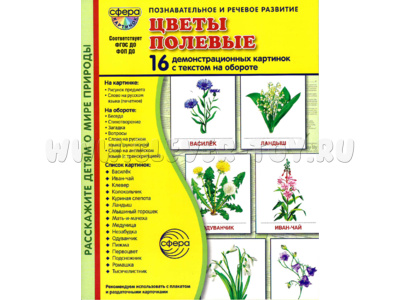 Демонстрационные картинки СУПЕР. Цветы полевые (16 шт.) в папке