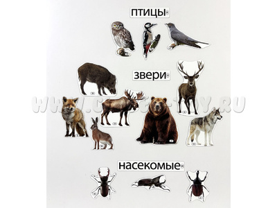 Набор магнитных карточек Кто живёт в лесу (к плакату Лес, тема 2)