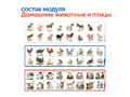 Наше сельское хозяйство с РобоМышью (6 модулей без системы хранения)